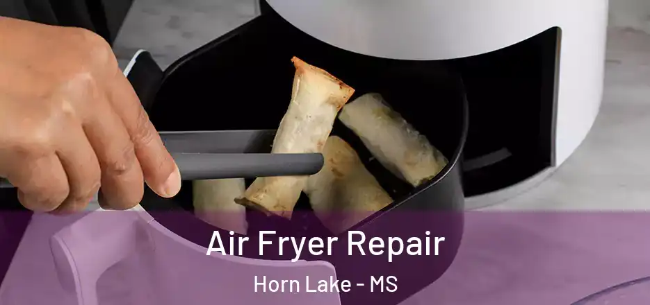  Air Fryer Repair Horn Lake - MS