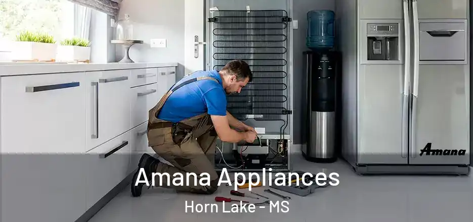  Amana Appliances Horn Lake - MS