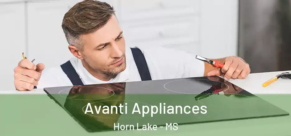  Avanti Appliances Horn Lake - MS