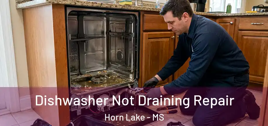  Dishwasher Not Draining Repair Horn Lake - MS
