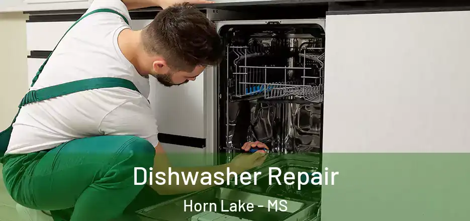  Dishwasher Repair Horn Lake - MS