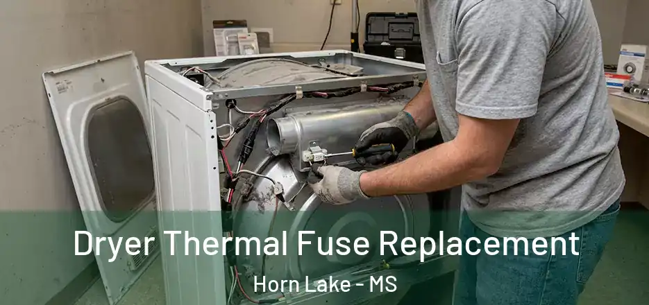  Dryer Thermal Fuse Replacement Horn Lake - MS