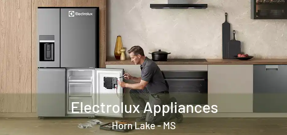  Electrolux Appliances Horn Lake - MS