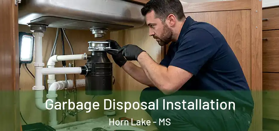  Garbage Disposal Installation Horn Lake - MS
