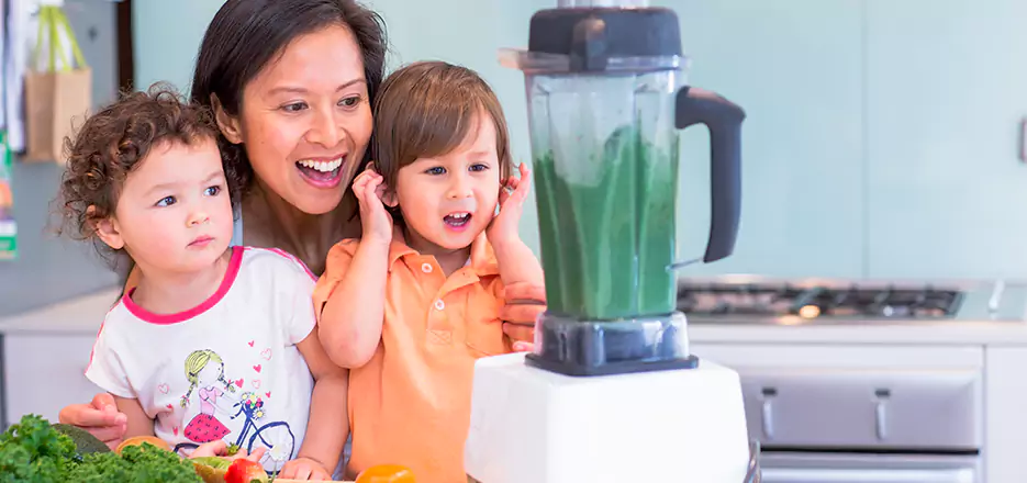 Juicer and Mixer Blender Repair in Horn Lake 