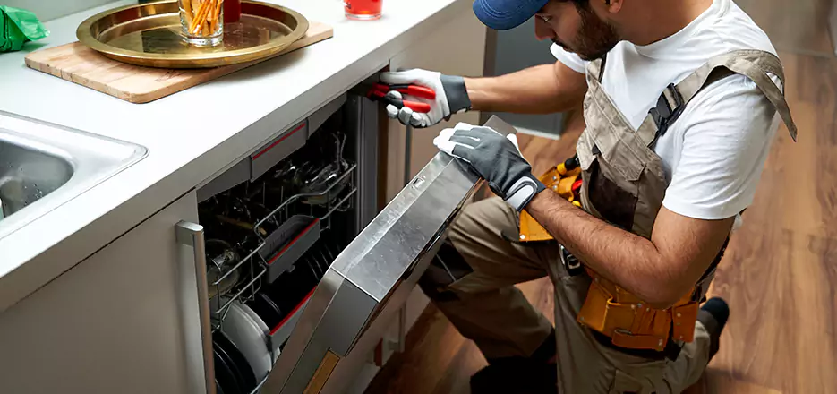 Same Day Dishwasher Not Draining Repair in Horn Lake