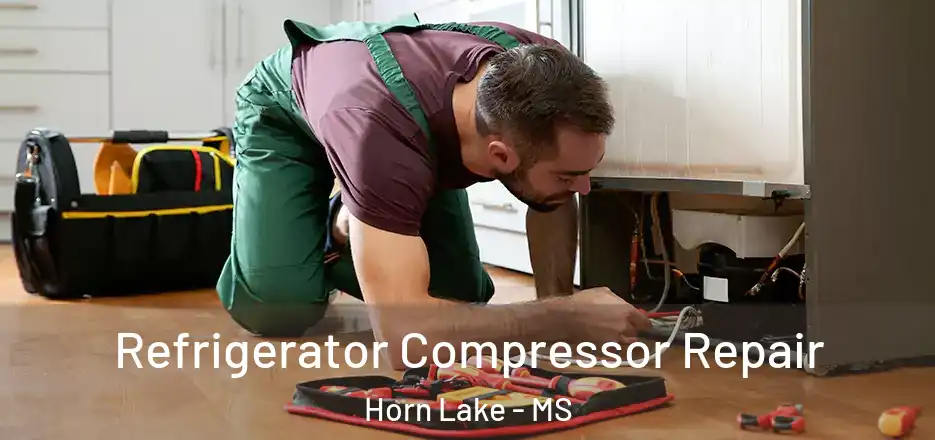  Refrigerator Compressor Repair Horn Lake - MS