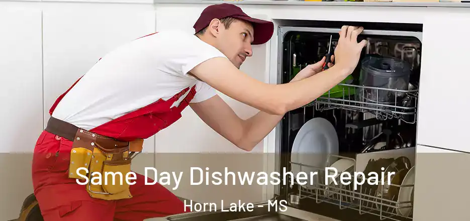  Same Day Dishwasher Repair Horn Lake - MS