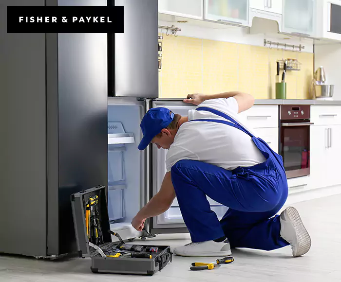 Top-Rated Fisher & Paykel Appliance Experts: Your Brand Specialist in Horn Lake, MS