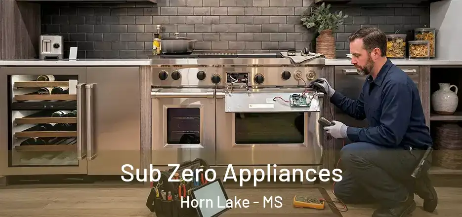  Sub Zero Appliances Horn Lake - MS