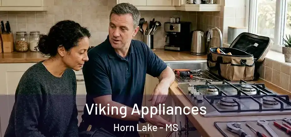  Viking Appliances Horn Lake - MS