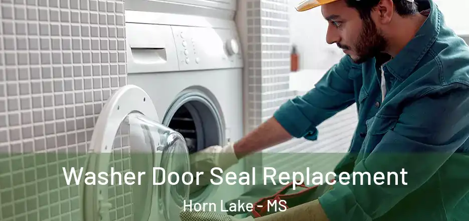  Washer Door Seal Replacement Horn Lake - MS