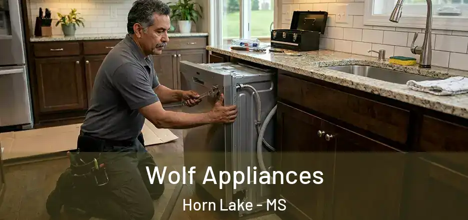  Wolf Appliances Horn Lake - MS